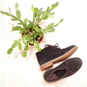 Black Suede Clark's